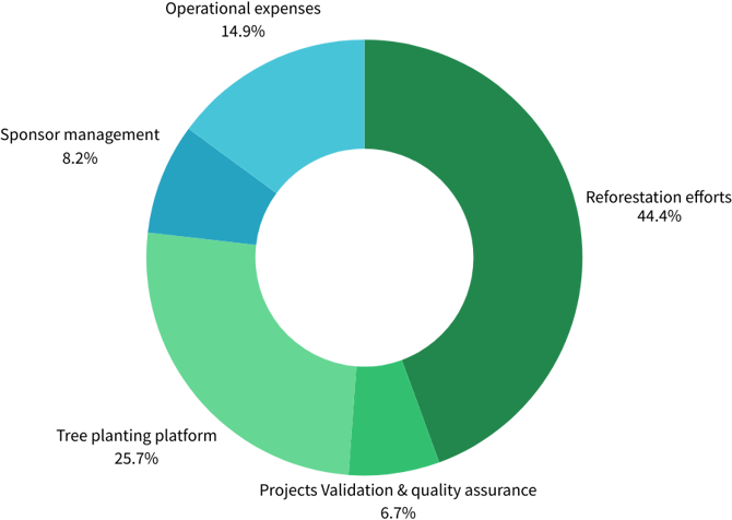 Annual Report 2024 - Financials Graph