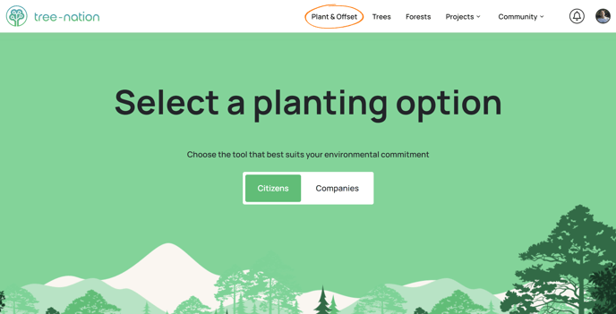 Automate your planting 1
