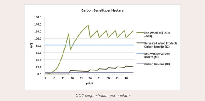 Benefício do carbono