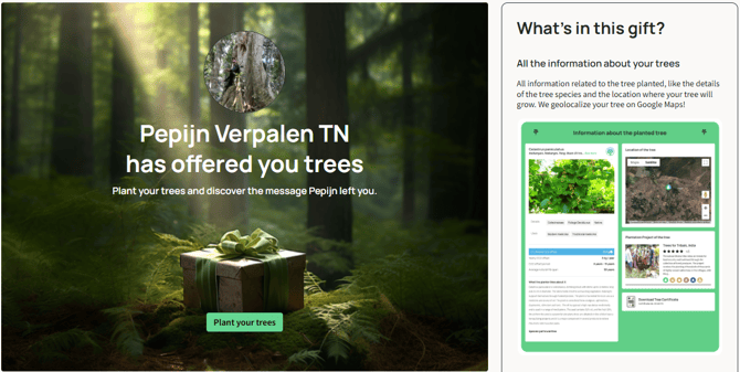 Collect your tree 