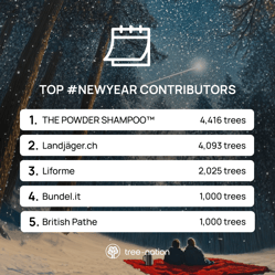 Top NewYear contributors