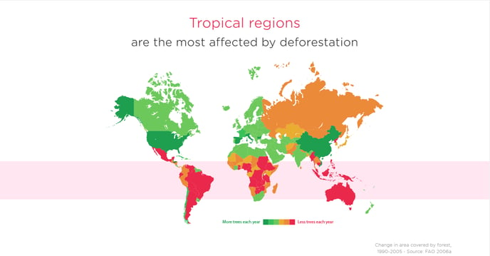 Zona tropical