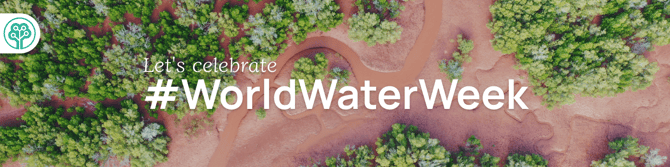 World Water Week