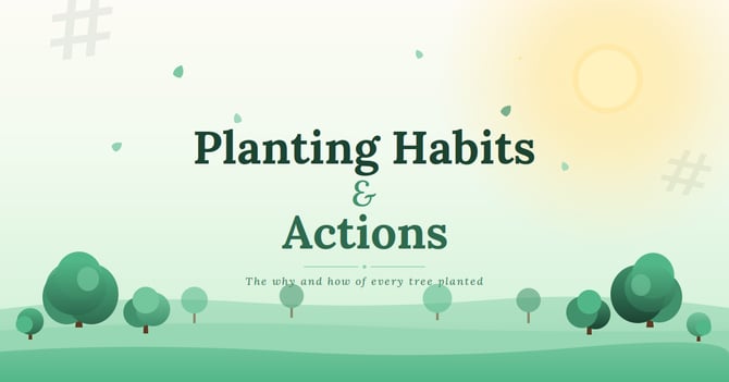 planting-habits-actions-hero