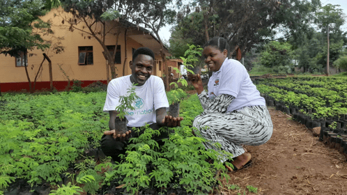 project_update-e5b8094ceb468e2cdbc486aa1d69cb37