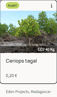 Cómo plantar mis árboles gratuitos