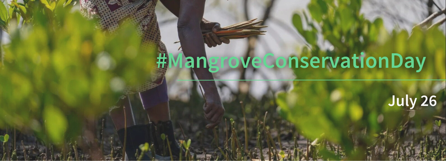 Planting Habit MangroveConservationDay