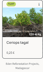 Tree Species Ceriops tagal
